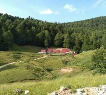 Villa Dulovic - Katun Potoci à Kolašin Extérieur photo