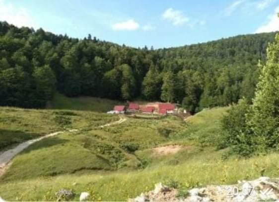 Villa Dulovic - Katun Potoci à Kolašin Extérieur photo