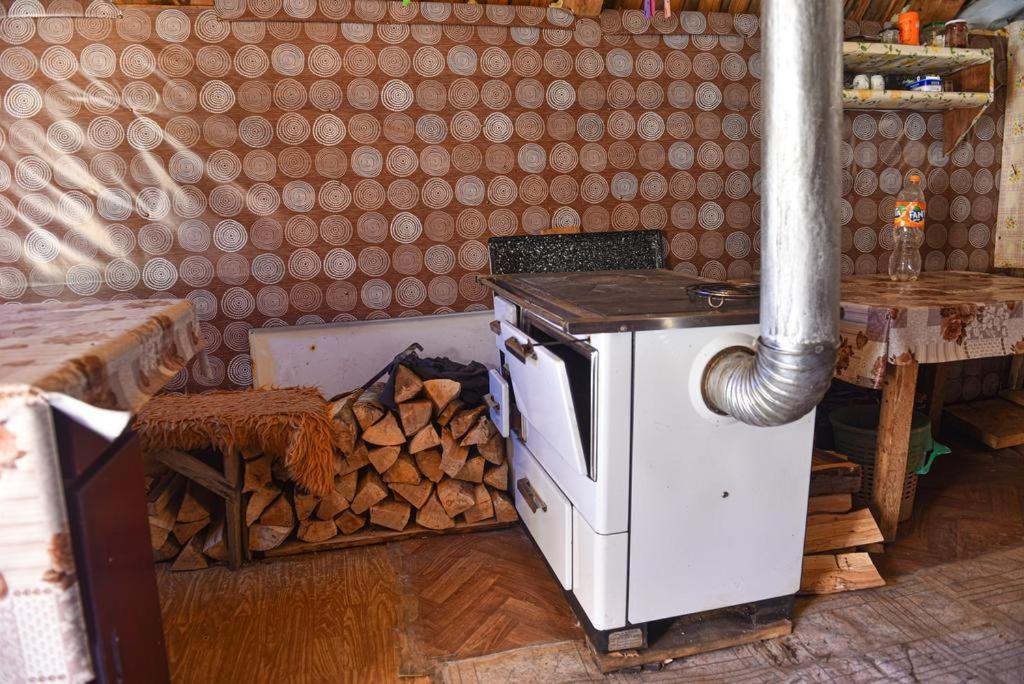Villa Dulovic - Katun Potoci à Kolašin Extérieur photo